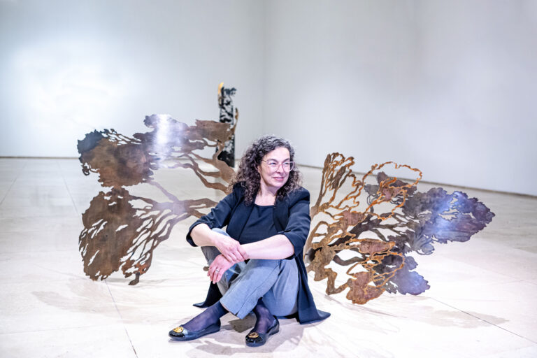Subantártico: la poética del sur profundo en la obra de paola Vezzani 